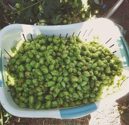 Nothing to see here….