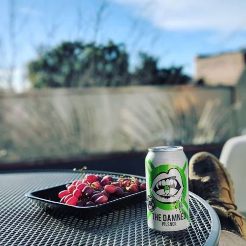 Hop Nation The Damned Pilsner (375ml Can)