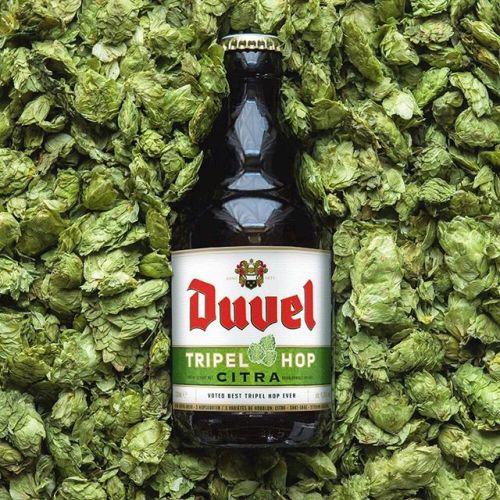 Duvel Tripel Hop Citra