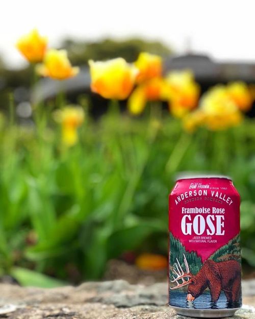 Anderson Valley Framboise Rose Gose