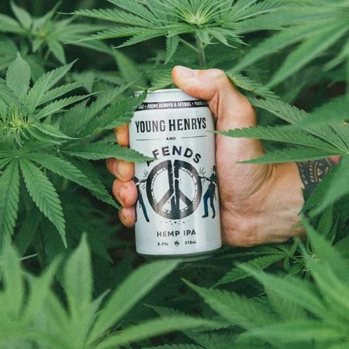 Young Henrys Afends Hemp IPA