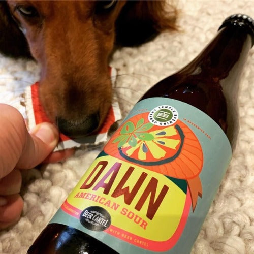 Beer Cartel Beer Advent Calendar Day 14: Temple Dawn American Sour