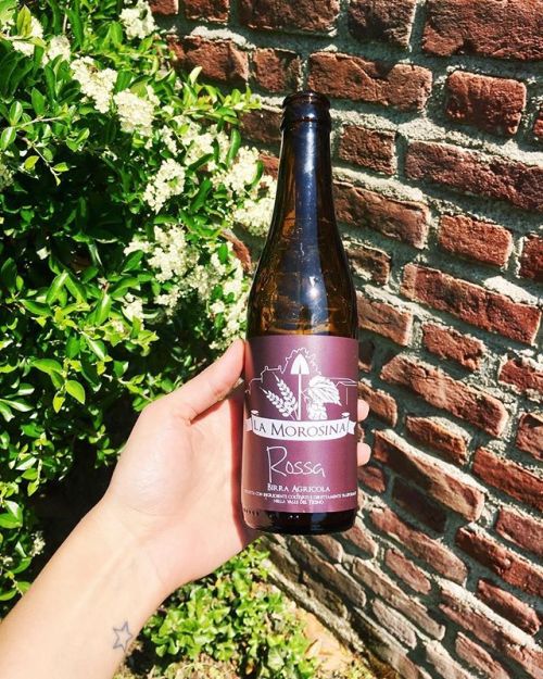 La Morosina Ticinensis Rossa