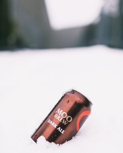 Moo Brew Dark Ale