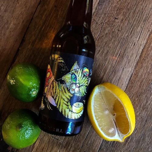 Left Barrel Sauer Puss ⠀