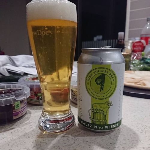 Nine Fingers Waltzin Ma Pilsner⠀