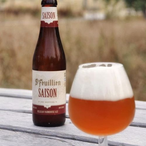 St. Feuillien Saison⠀