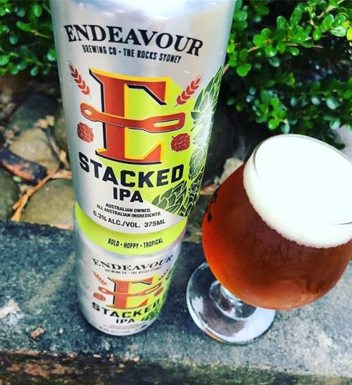 Endeavour Stacked IPA⠀