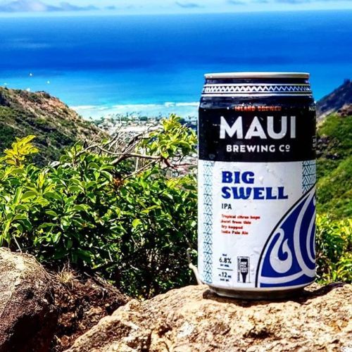Maui Big Swell IPA⠀