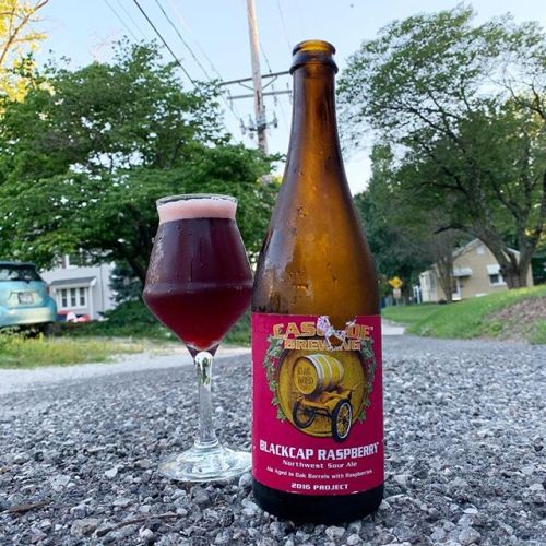 Cascade Blackcap Raspberry Sour Ale⠀