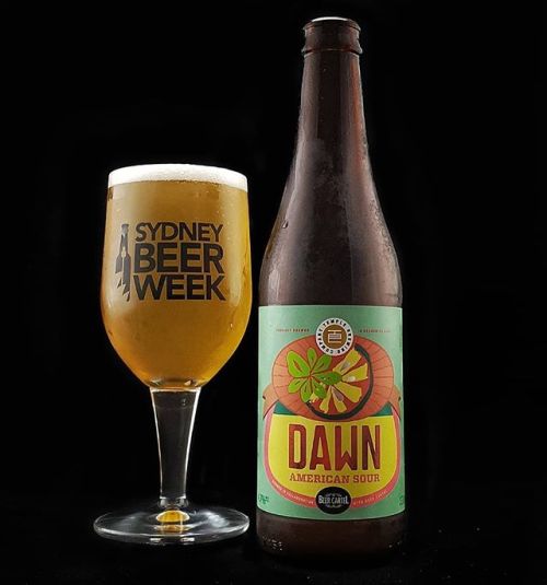 Temple Dawn American Sour Ale⠀