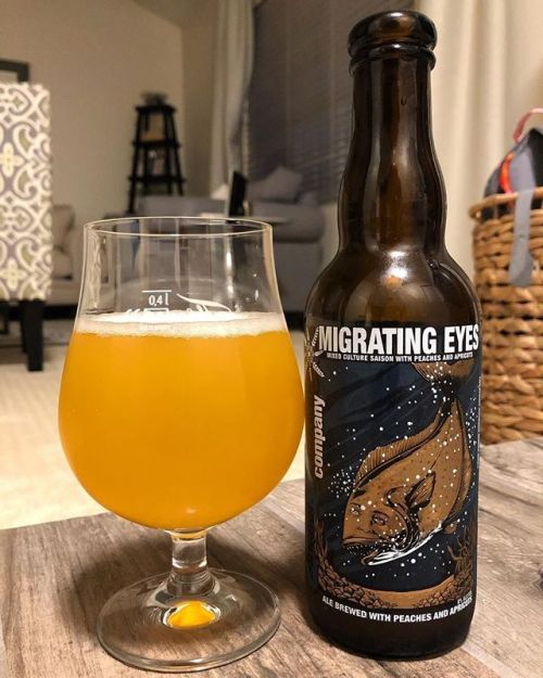 Anchorage Migrating Eyes Saison⠀