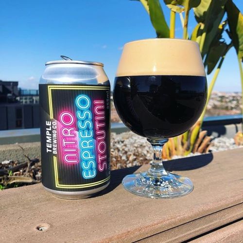 Temple Nitro Espresso Stoutini Stout ⠀