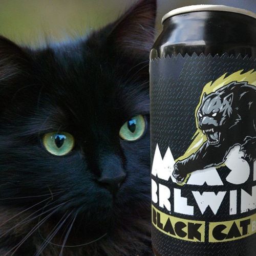 Mash Black Cat IPA⠀ ⠀