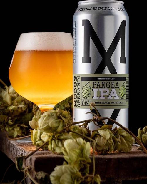 Modus Operandi Pangea IPA⠀