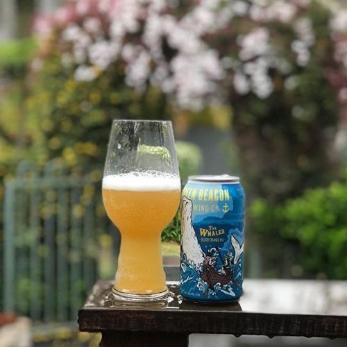 Green Beacon The Whaler Blood Orange IPA⠀
