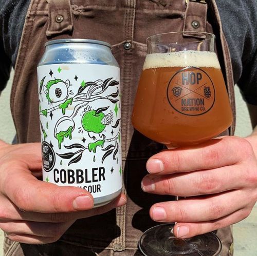 Hop Nation Cobbler Peach Sour Ale⠀