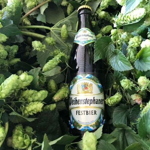 Weihenstephaner Festbier⠀