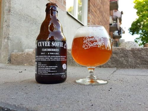 Alvinne Cuvee Sofie Cloudberries Sour Ale⠀