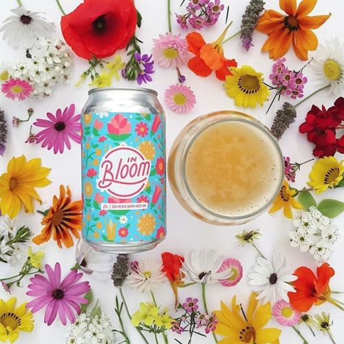 Mr Banks In Bloom DDH Pacific North West IPA ⠀