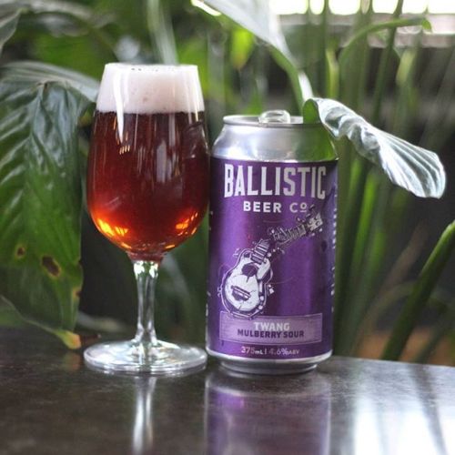 Ballistic Twang Mulberry Sour Ale⠀