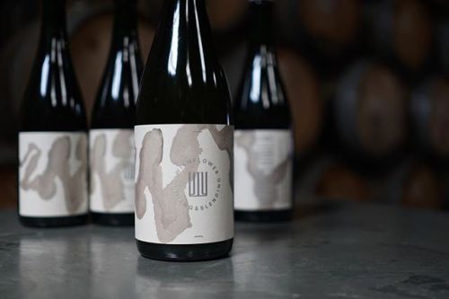 Wildflower Foggy Morning⠀