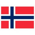 Norwegian Beer