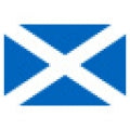 Scottish Beer