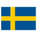 Swedish Beer