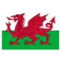 Welsh Beer