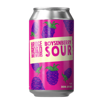 Bridge Road Boysenberry Sour 355ml Can