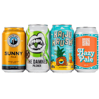 Discount Mixed Beer 4 Pack
