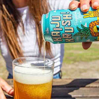 Hottest 100 Aussie Craft Beers Mixed 24 Pack