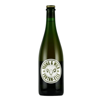 Lambiek Fabriek Young & Wild Fontan-Elle