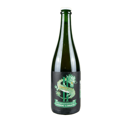 Dollar Bill Learning to Breathe Sour Ale Single Craft Beer Dollar Bill Brewing