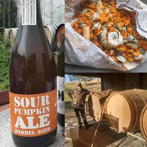 Farmhouse and Wild Exploration Mixed Pack Mix Packs Beer Cartel