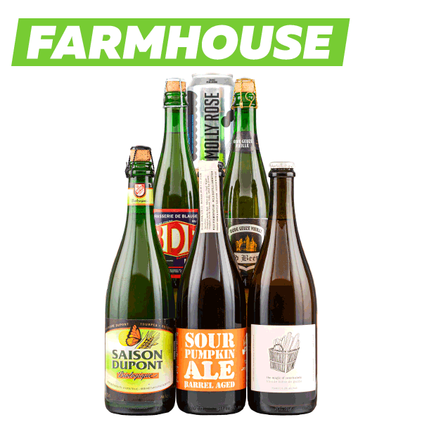 Farmhouse and Wild Exploration Mixed Pack Mix Packs Beer Cartel
