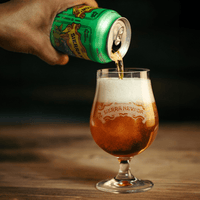 International Beer Mixed Pack Mix Packs Beer Cartel