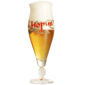 Lefebvre Hopus Beer Glass Glassware Lefebvre Brewery