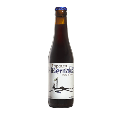 Lupulus Hibernatus Strong Ale Craft Beer Brasserie Lupulus