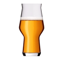 Rastal Craft Master One Beer Glass Glassware Rastal