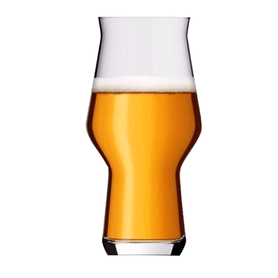 Rastal Craft Master One Beer Glass Glassware Rastal