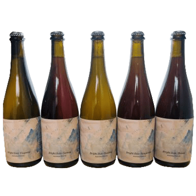 Wildflower Bright Side Mixed 5 Pack Single Craft Beer Wildflower Brewing & Blending