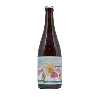 Wildflower Sensation of Colour Brachetto Grape Australian Wild Ale 750ml Bottle Craft Beer Wildflower Brewing & Blending