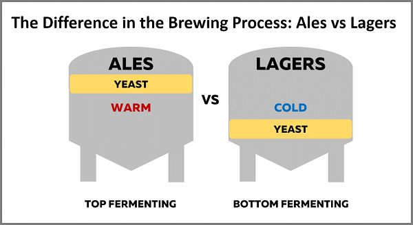 What Is the Difference between Ale and Lager?